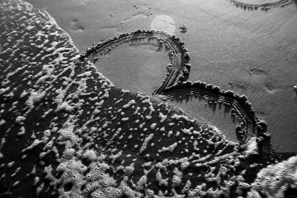 heartbroken-by-a-son-of-a-beach-jason-blalock